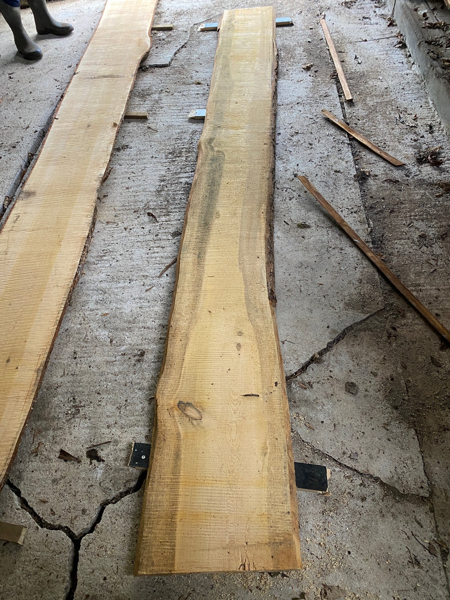 Long CEDAR Live Edge 394 cm Plank