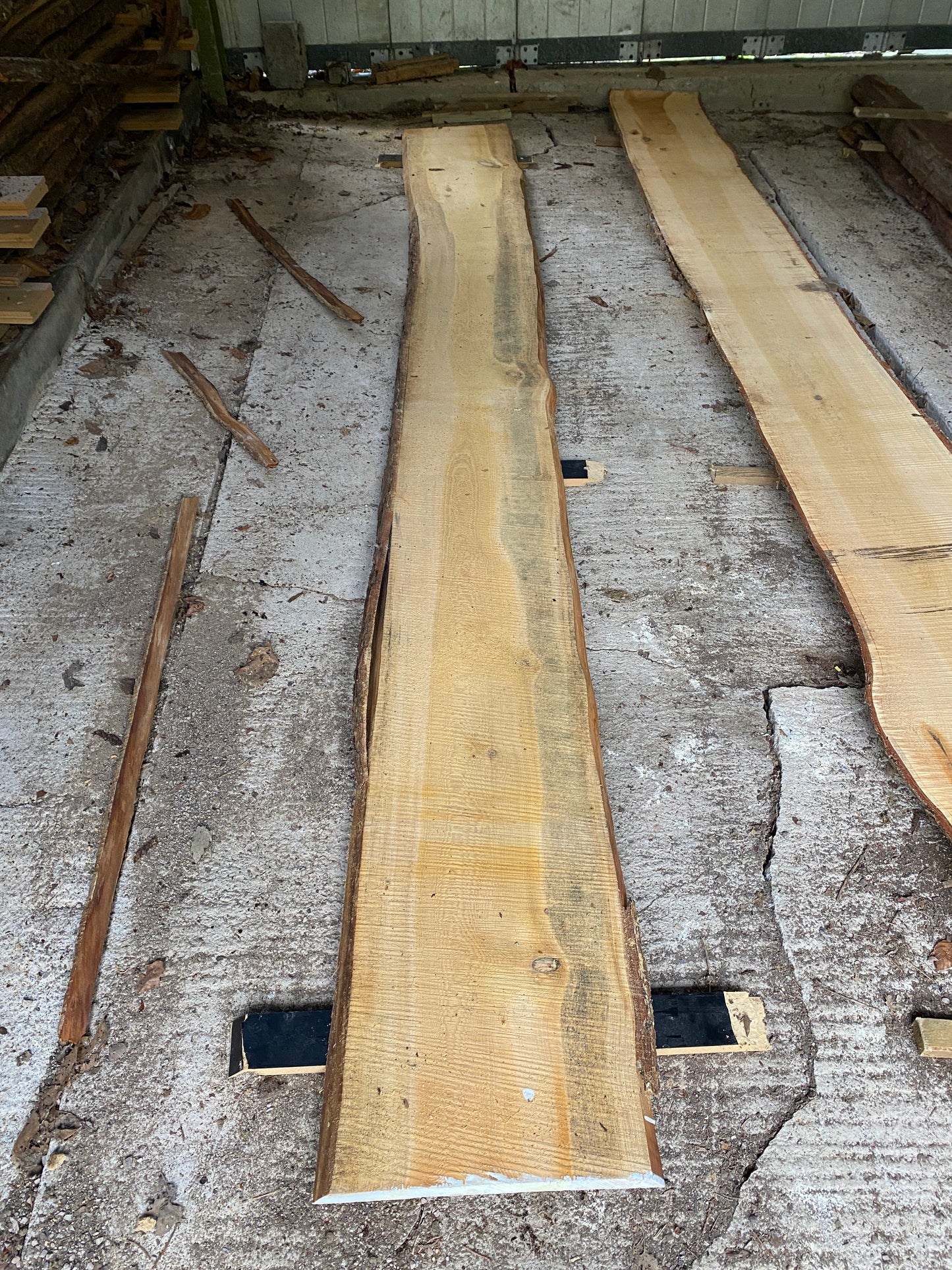 Long CEDAR Live Edge 394 cm Plank