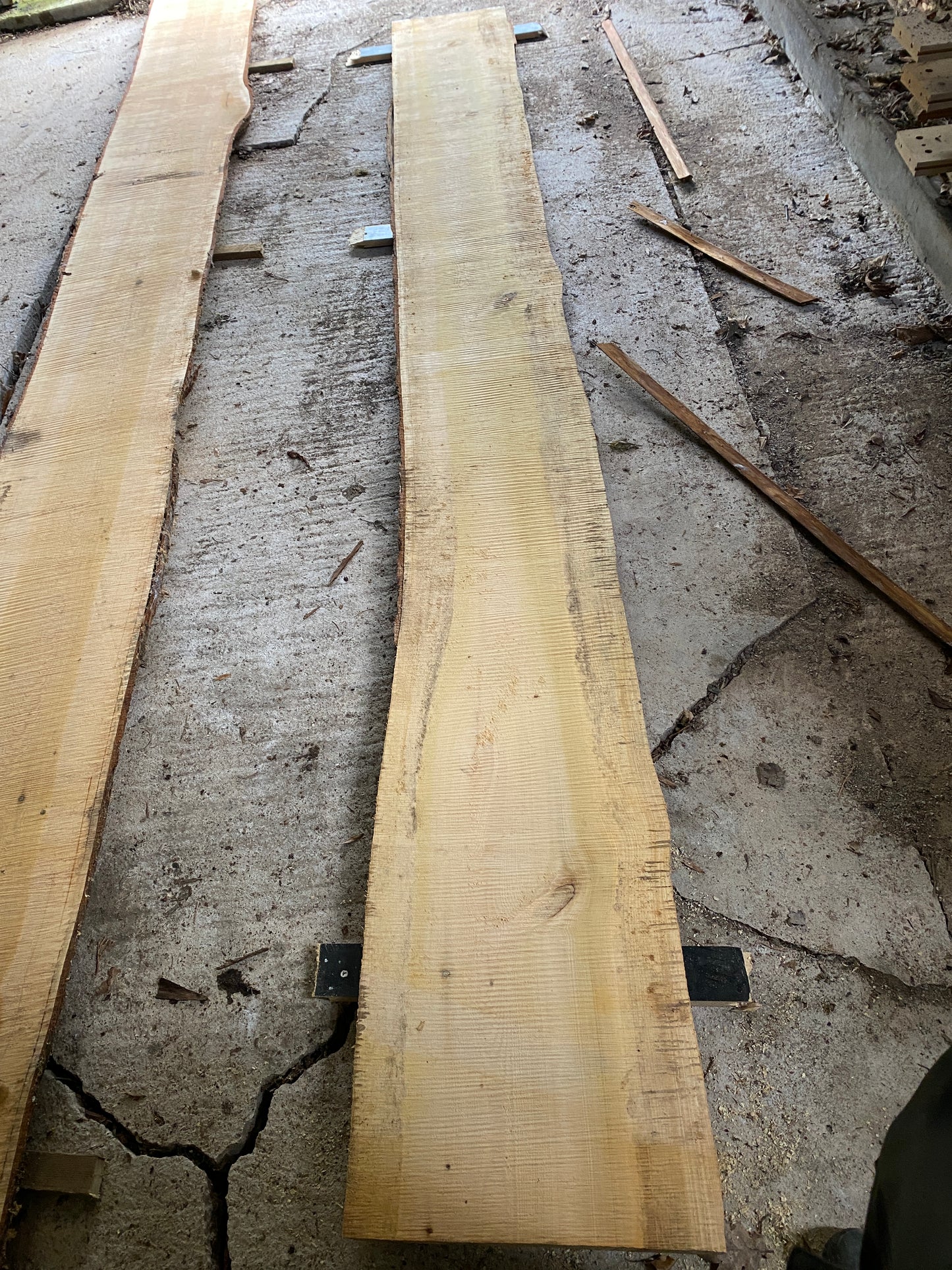 Long CEDAR Live Edge 394 cm Plank