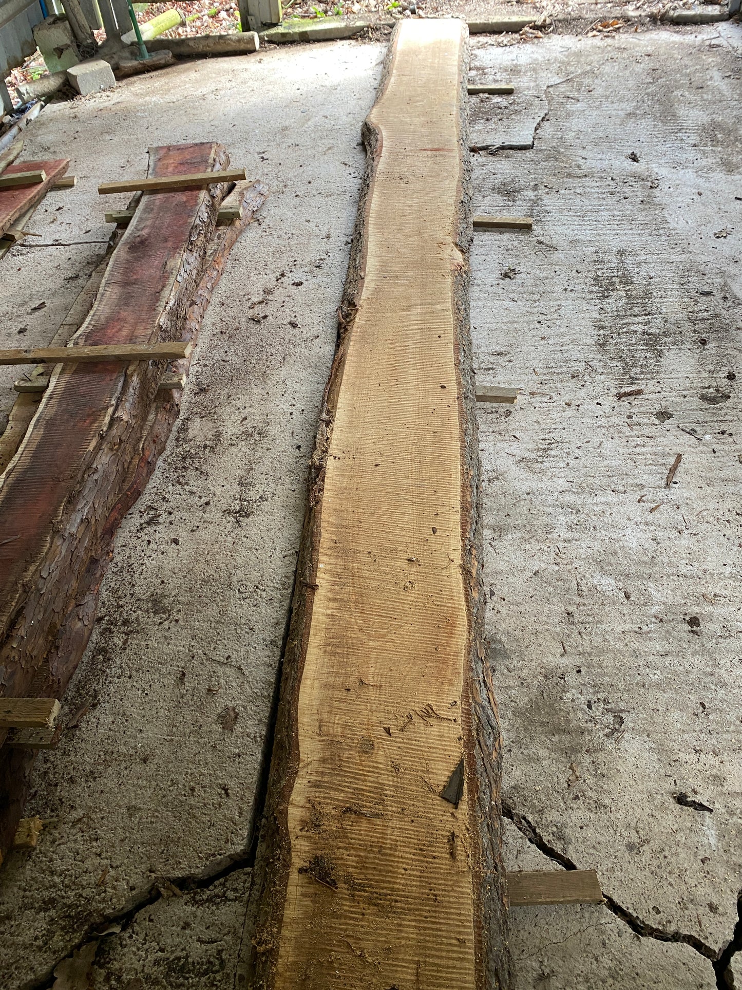 Long CEDAR Live Edge 494 cm Plank