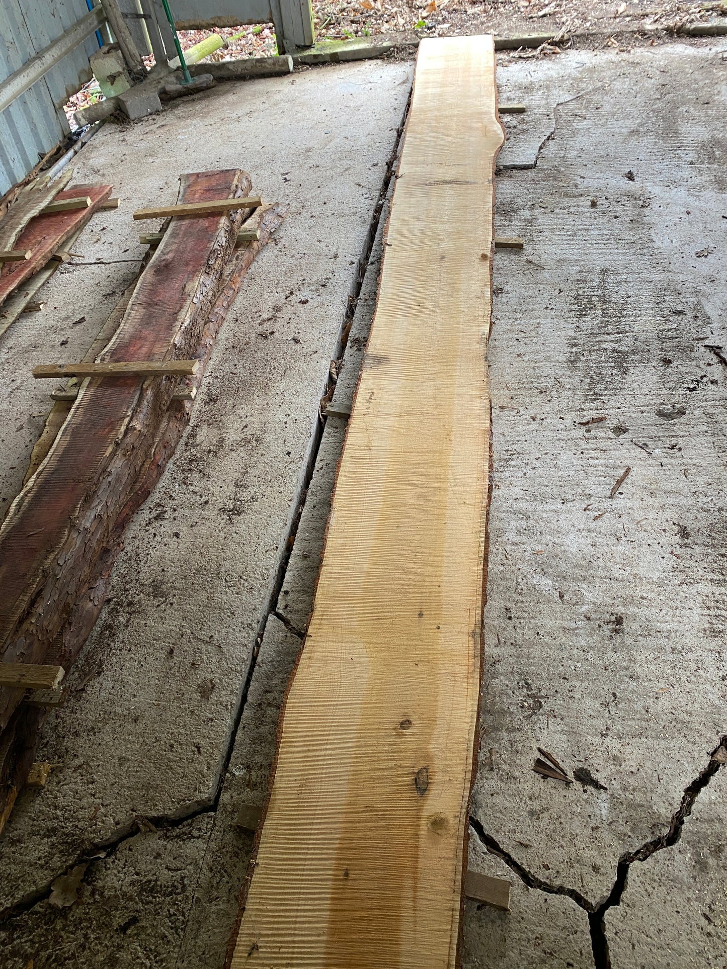 Long CEDAR Live Edge 494 cm Plank