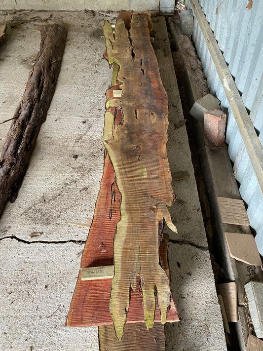 Yew Plank 238 cm