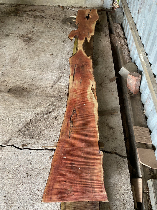 Yew Plank 240 cm