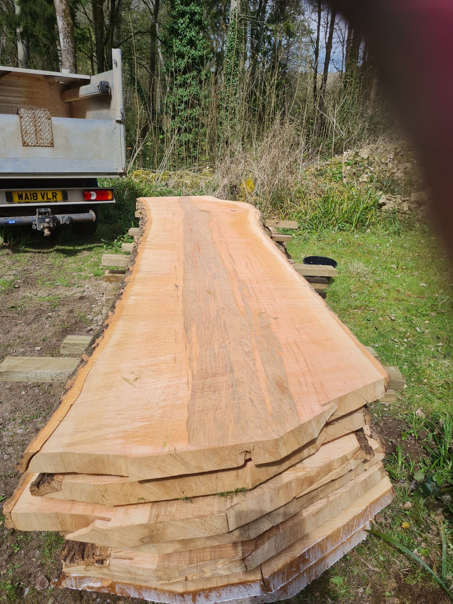 Large ASH Plank