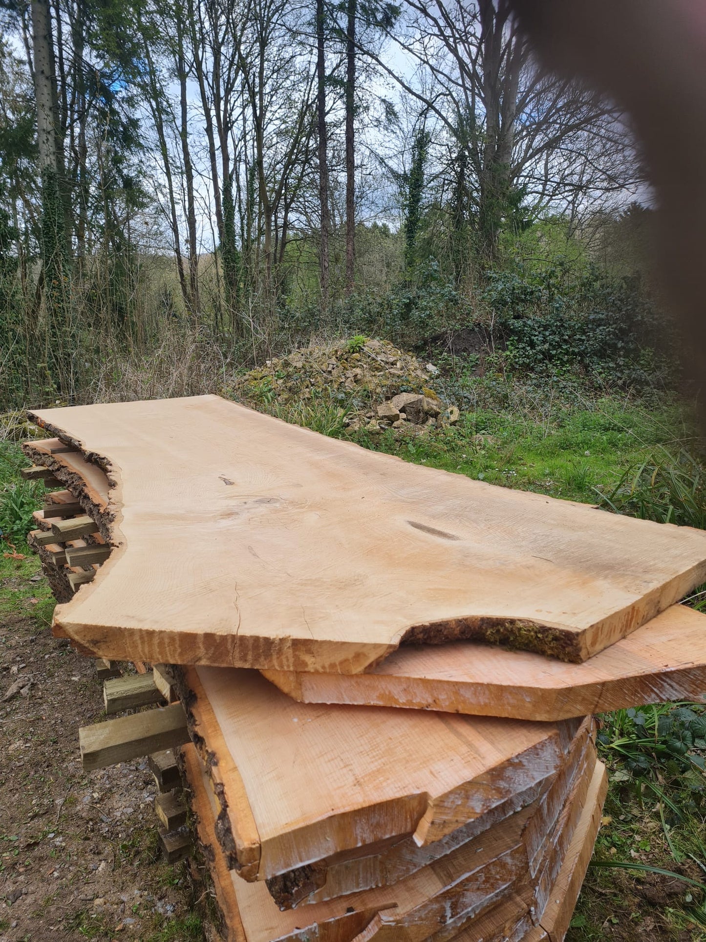 Large ASH Plank